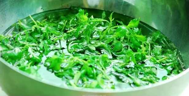 農(nóng)村人都知道的艾草，竟然能如此呵護女性私處的健康！