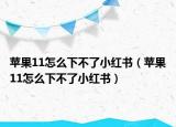 蘋(píng)果11怎么下不了小紅書(shū)（蘋(píng)果11怎么下不了小紅書(shū)）