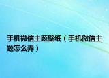 手機微信主題壁紙（手機微信主題怎么弄）
