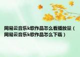 網(wǎng)易云音樂k歌作品怎么看播放量（網(wǎng)易云音樂k歌作品怎么下載）