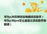 華為p30怎樣語音喚醒語音助手（華為p30pro怎么自定義語音助手喚醒詞）
