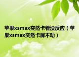 蘋果xsmax突然卡著沒反應(yīng)（蘋果xsmax突然卡屏不動(dòng)）