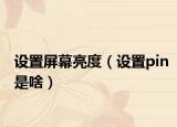 設(shè)置屏幕亮度（設(shè)置pin是啥）