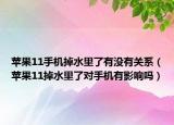 蘋果11手機(jī)掉水里了有沒有關(guān)系（蘋果11掉水里了對(duì)手機(jī)有影響嗎）