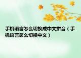 手機語言怎么切換成中文拼音（手機語言怎么切換中文）