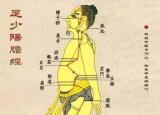 今日更新膽經(jīng)經(jīng)絡(luò)圖（足少陽(yáng)膽經(jīng)）