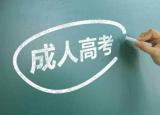 今日更新自學(xué)考試和成人高考（什么是成人高考）