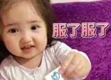 今日更新豬年圖片大全（75 張豬年壁紙）