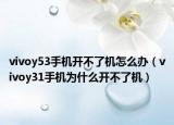 vivoy53手機(jī)開不了機(jī)怎么辦（vivoy31手機(jī)為什么開不了機(jī)）