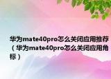 華為mate40pro怎么關閉應用推薦（華為mate40pro怎么關閉應用角標）