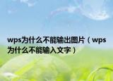 wps為什么不能輸出圖片（wps為什么不能輸入文字）