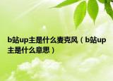 b站up主是什么麥克風(fēng)（b站up主是什么意思）