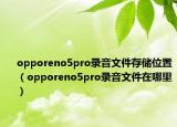 opporeno5pro錄音文件存儲(chǔ)位置（opporeno5pro錄音文件在哪里）