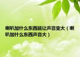 喇叭加什么東西能讓聲音變大（喇叭加什么東西聲音大）