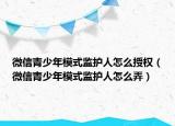 微信青少年模式監(jiān)護人怎么授權(quán)（微信青少年模式監(jiān)護人怎么弄）