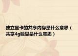 獨(dú)立顯卡的共享內(nèi)存是什么意思（共享4g獨(dú)顯是什么意思）