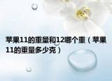 蘋果11的重量和12哪個(gè)重（蘋果11的重量多少克）