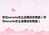 華為nova4e怎么設(shè)置動(dòng)態(tài)壁紙（華為nova4e怎么設(shè)置動(dòng)態(tài)壁紙）