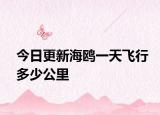 今日更新海鷗一天飛行多少公里