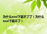 為什么soul下載不了了（為什么soul下載不了）