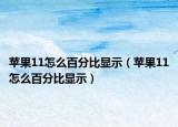 蘋果11怎么百分比顯示（蘋果11怎么百分比顯示）
