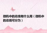 微機(jī)中的總線有什么用（微機(jī)中的總線可分為）