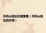 手機(jī)ip地址在哪里看（手機(jī)ip地址的作用）