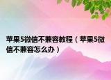 蘋果5微信不兼容教程（蘋果5微信不兼容怎么辦）