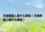 無視頻輸入是什么原因（無視頻輸入是什么原因）