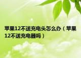 蘋果12不送充電頭怎么辦（蘋果12不送充電器嗎）