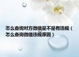 怎么查詢對(duì)方微信是不是有違規(guī)（怎么查詢微信違規(guī)原因）
