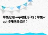 蘋果啟用wapi要打開嗎（蘋果wapi打開還是關閉）