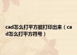 cad怎么打平方能打印出來（cad怎么打平方符號）