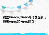微型word和word有什么區(qū)別（微型word和word區(qū)別）