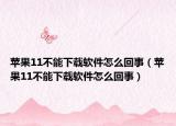 蘋果11不能下載軟件怎么回事（蘋果11不能下載軟件怎么回事）