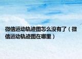 微信運(yùn)動(dòng)軌跡圖怎么沒有了（微信運(yùn)動(dòng)軌跡圖在哪里）