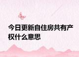 今日更新自住房共有產(chǎn)權(quán)什么意思
