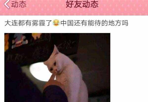 朋友圈的“肺腑之言”：厚德載霧，自強(qiáng)不吸！