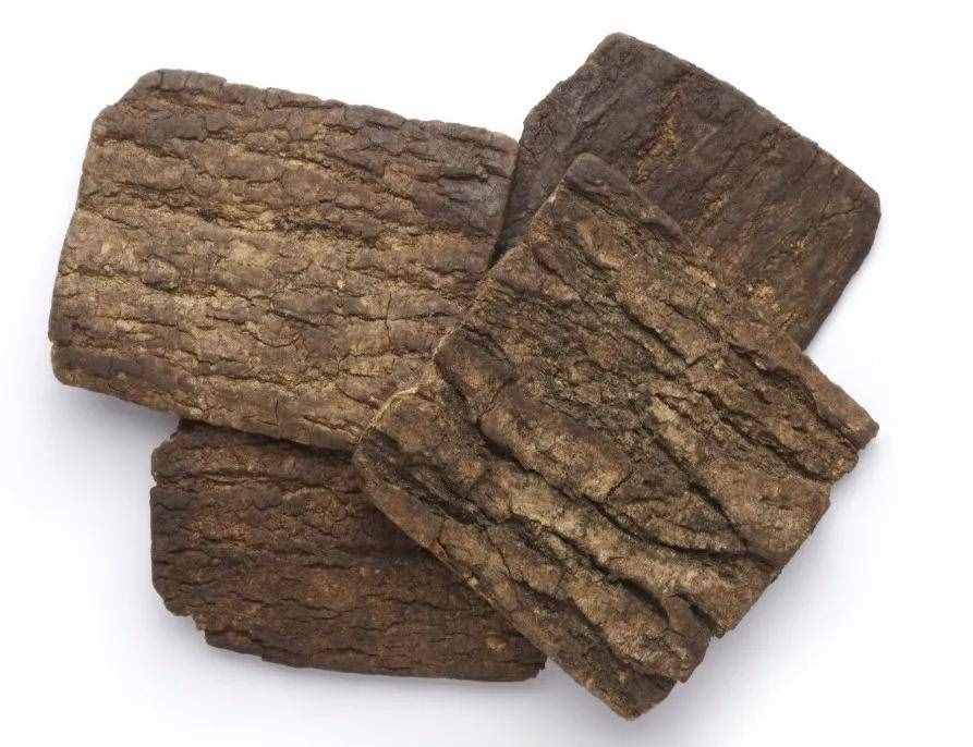 補(bǔ)肝、腎佳品—杜仲的功效與應(yīng)用