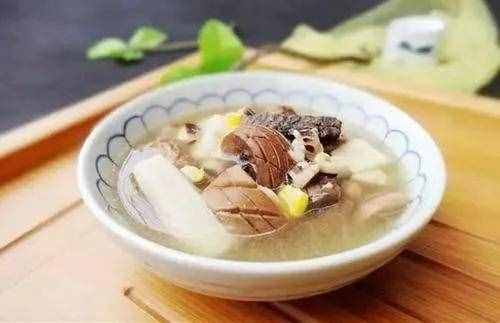 補(bǔ)肝、腎佳品—杜仲的功效與應(yīng)用