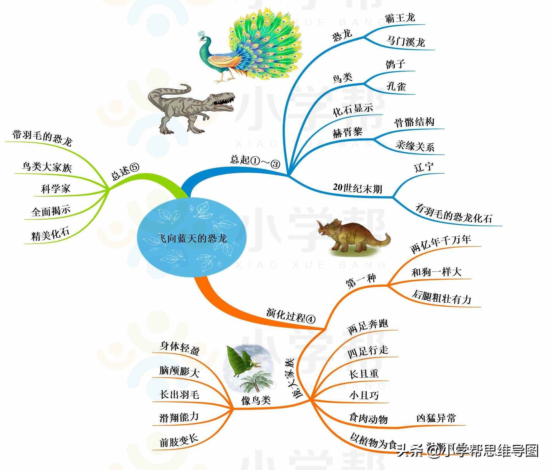 思維導(dǎo)圖統(tǒng)編版4年級“飛向藍(lán)天的恐龍-納米技術(shù)就在我們身邊-千