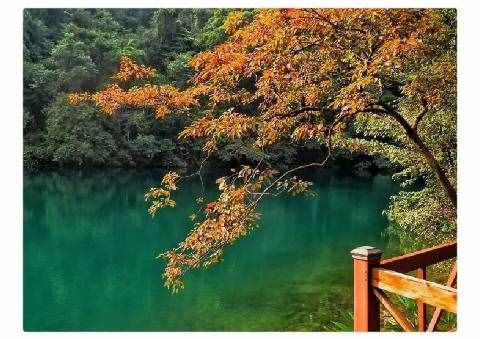 珠海附近竟有個(gè)“九寨溝”仙境！2小時(shí)即達(dá)，已列入旅游清單！