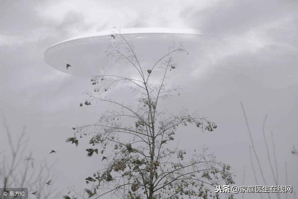 霧與霾有什么區(qū)別？不論哪種，請做好這一件事