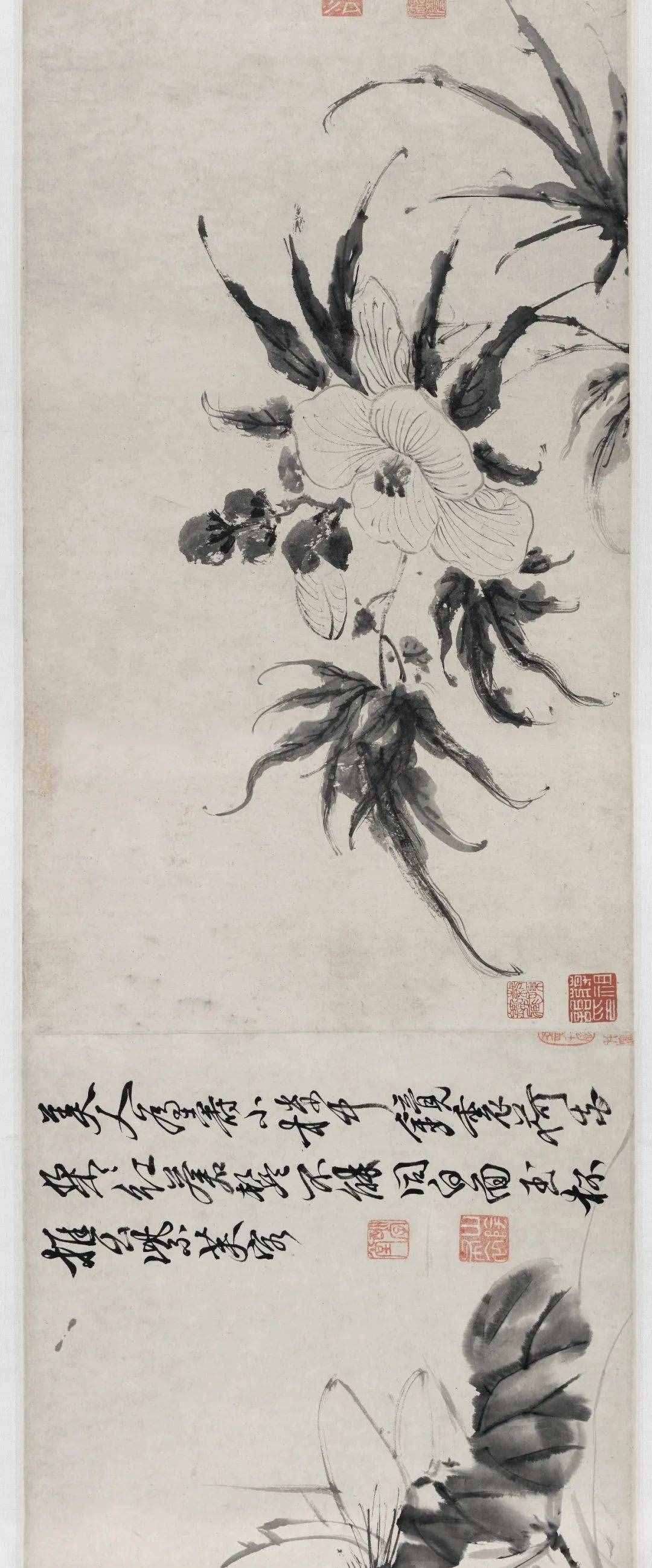 徐渭的墨花，這才叫玩水墨