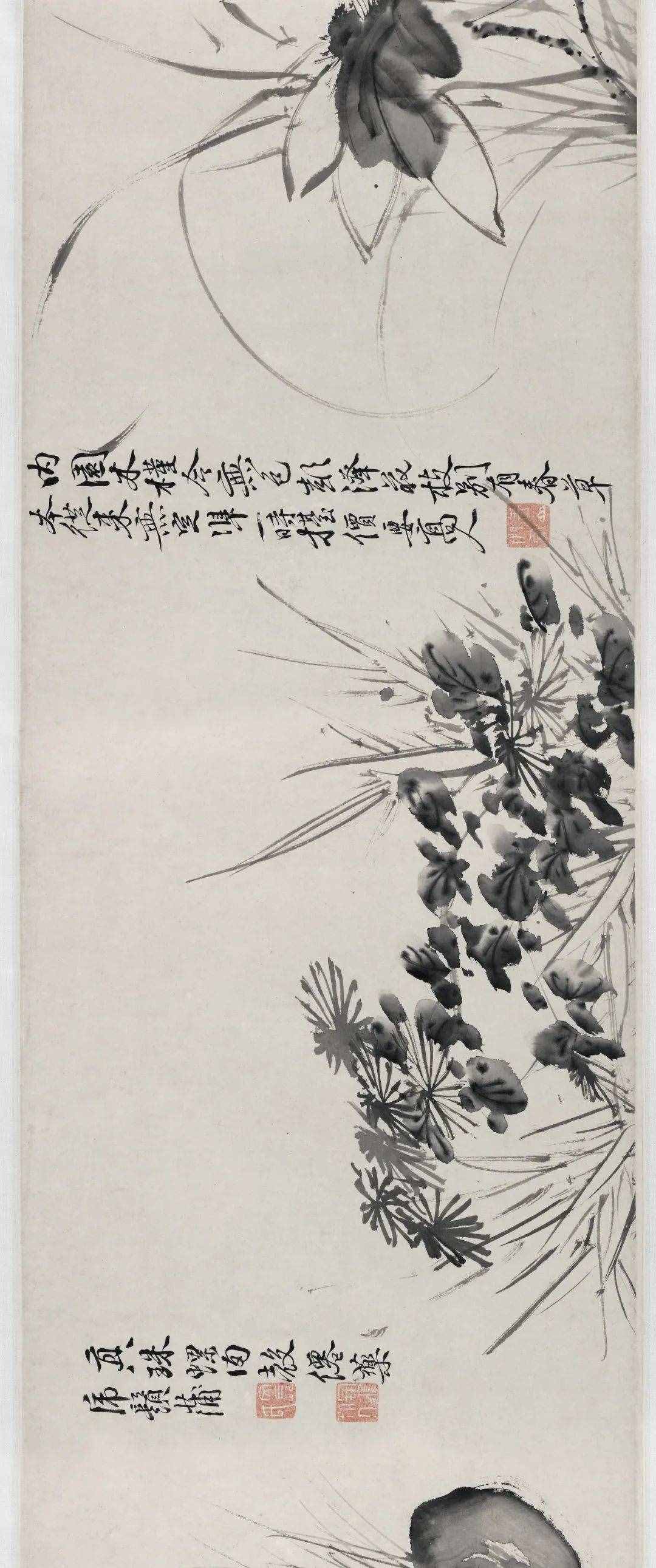 徐渭的墨花，這才叫玩水墨