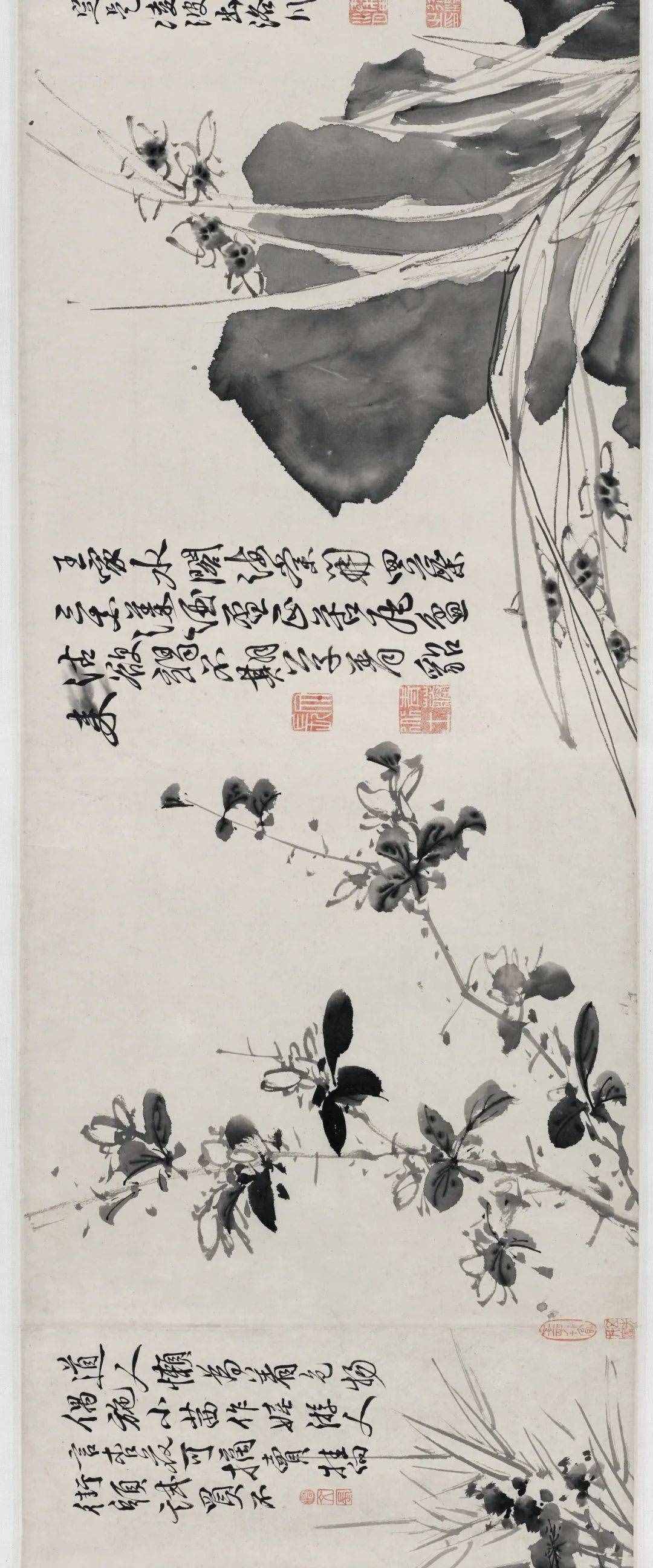 徐渭的墨花，這才叫玩水墨