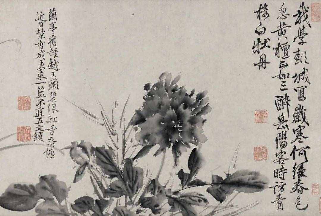 徐渭的墨花，這才叫玩水墨