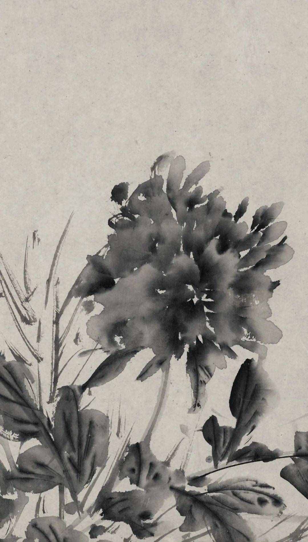 徐渭的墨花，這才叫玩水墨