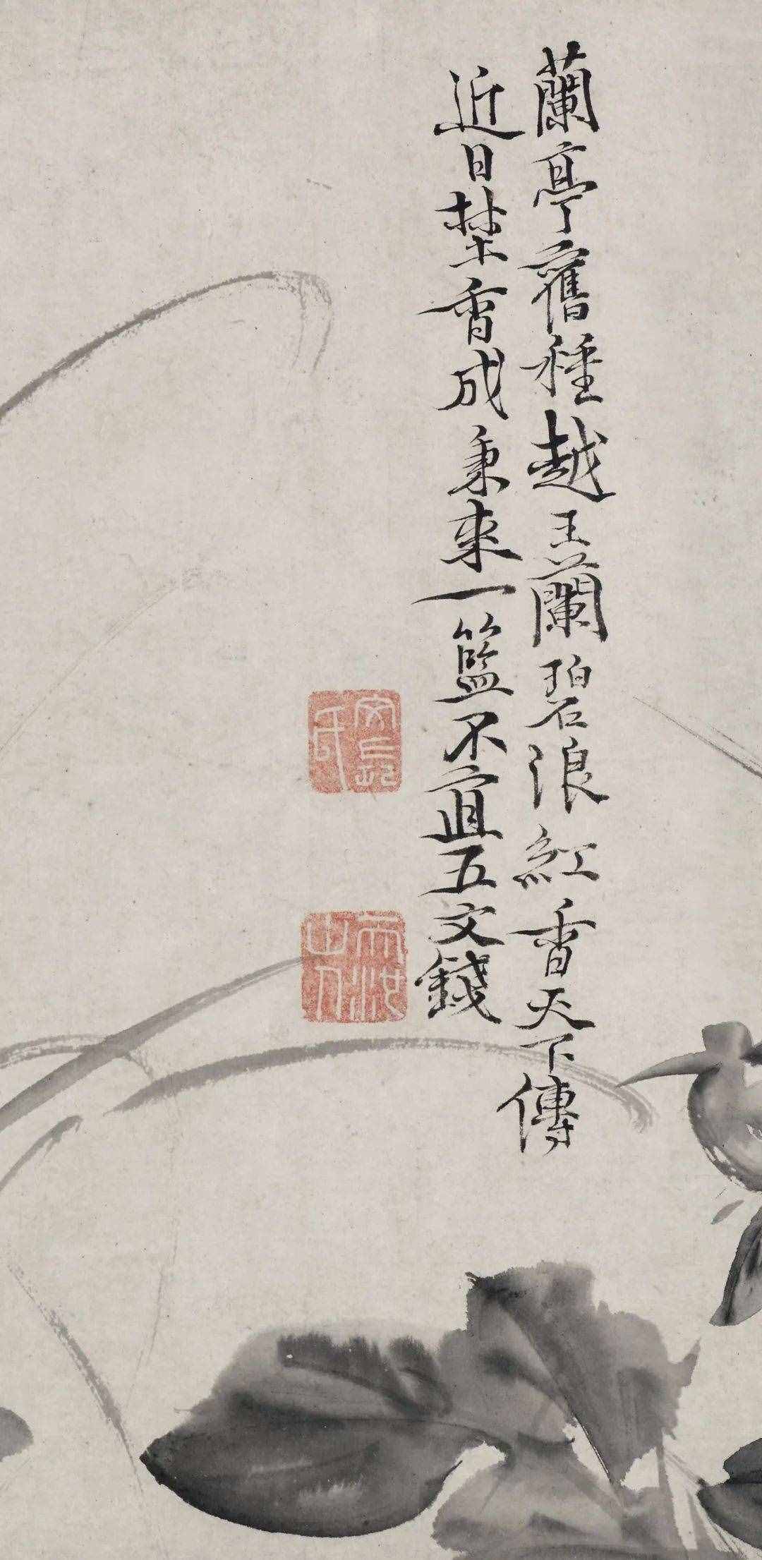 徐渭的墨花，這才叫玩水墨