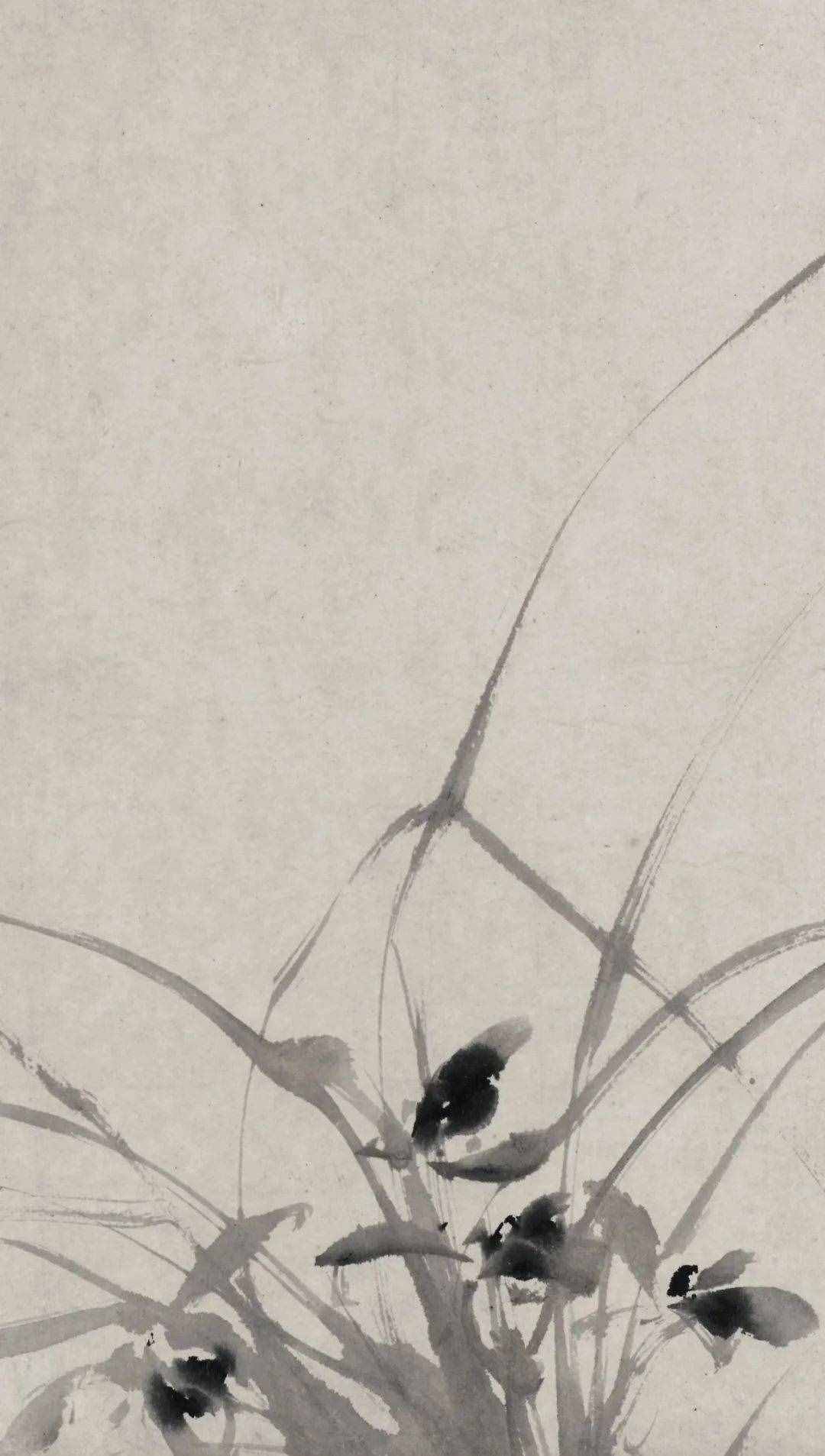 徐渭的墨花，這才叫玩水墨